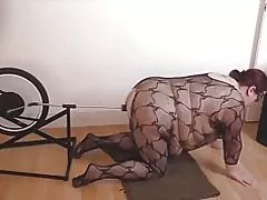 Bbw зөндөө дугуйн